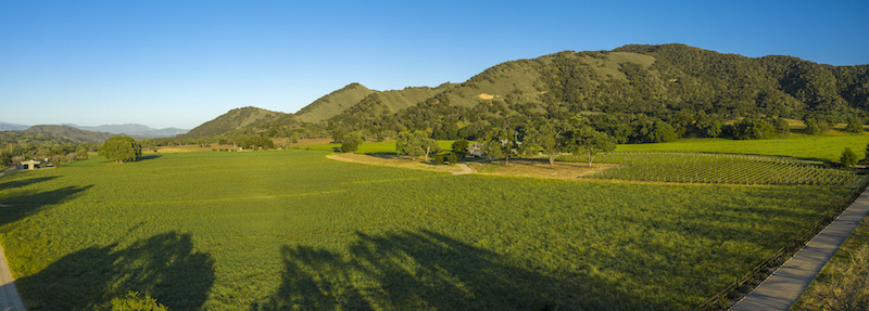 Carey Kendall - May 2020 - Santa Ynez 8