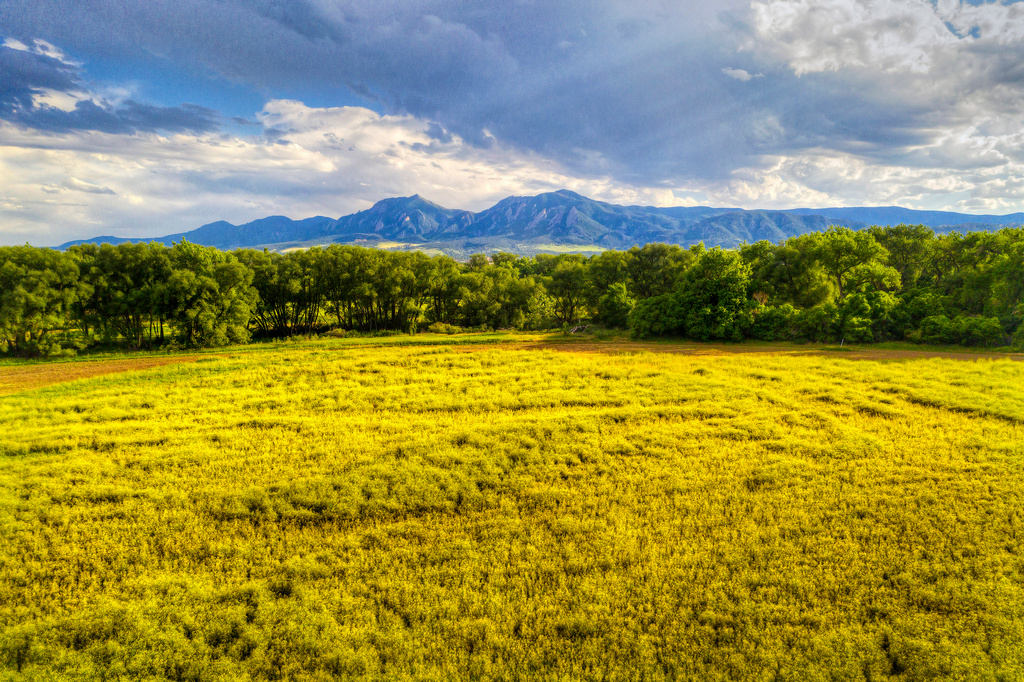 Catherine Burgess 5163 Independence, Boulder_057