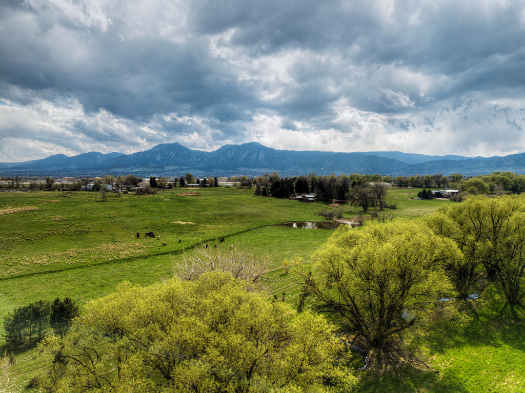 Catherine Burgess 5163 Independence, Boulder_41